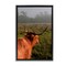 Stupell Industries Highland Cow Gazing Out Floating Frame, design by Jenny Rainbow Fine Art
